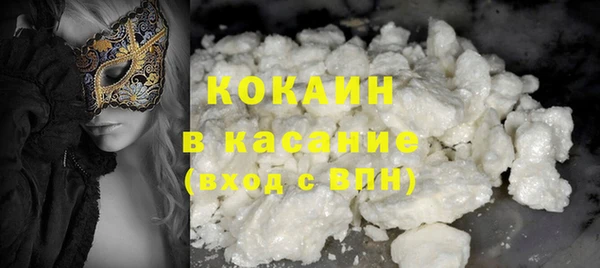 стаф Няндома