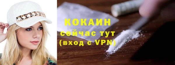 стаф Няндома