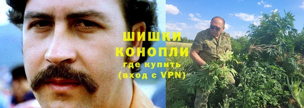 амф Новокубанск