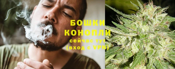 spice Володарск
