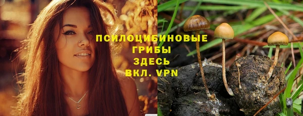 стаф Няндома