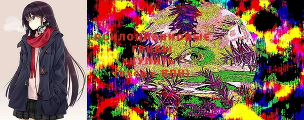 стаф Няндома