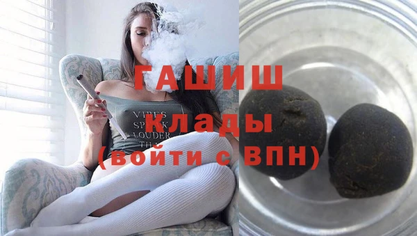 индика Инта